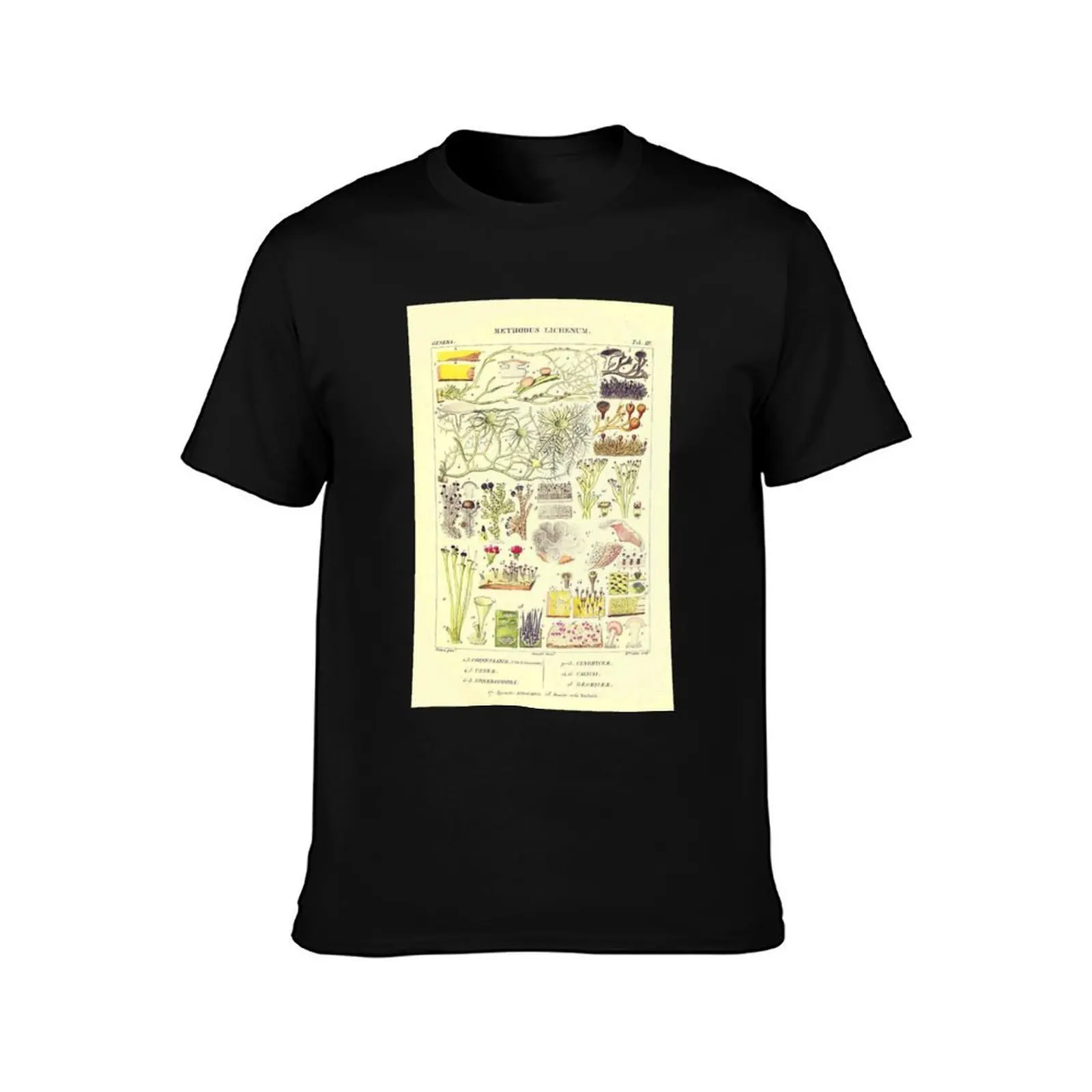 Lichen - Essai sur les cryptogames - Botanical Illustration T-Shirt, Summer Casual Cotton Tee, Oversized Streetwear Tops