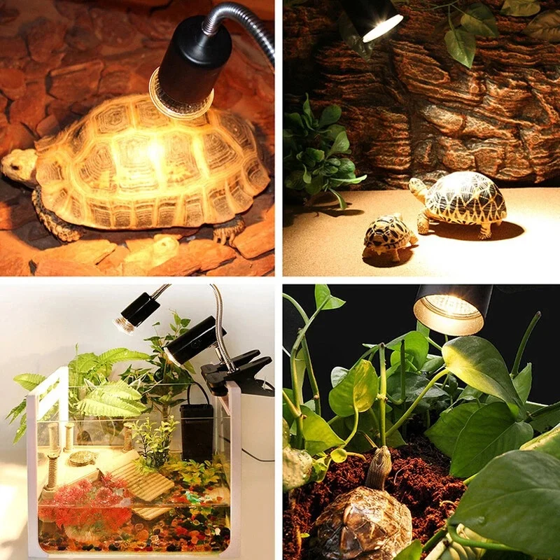 Reptile UV Heat Lamp 5