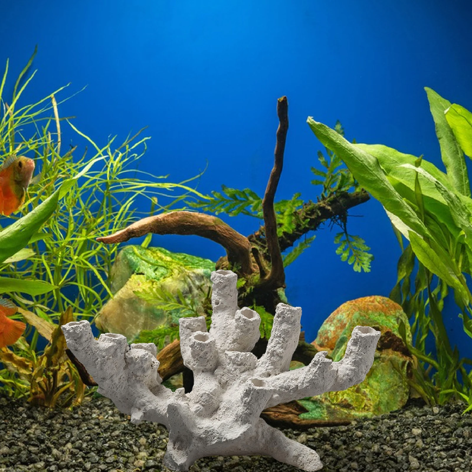 Thumbnail 4 - #20 Best Glass Aquarium Tanks to Buy In 2026