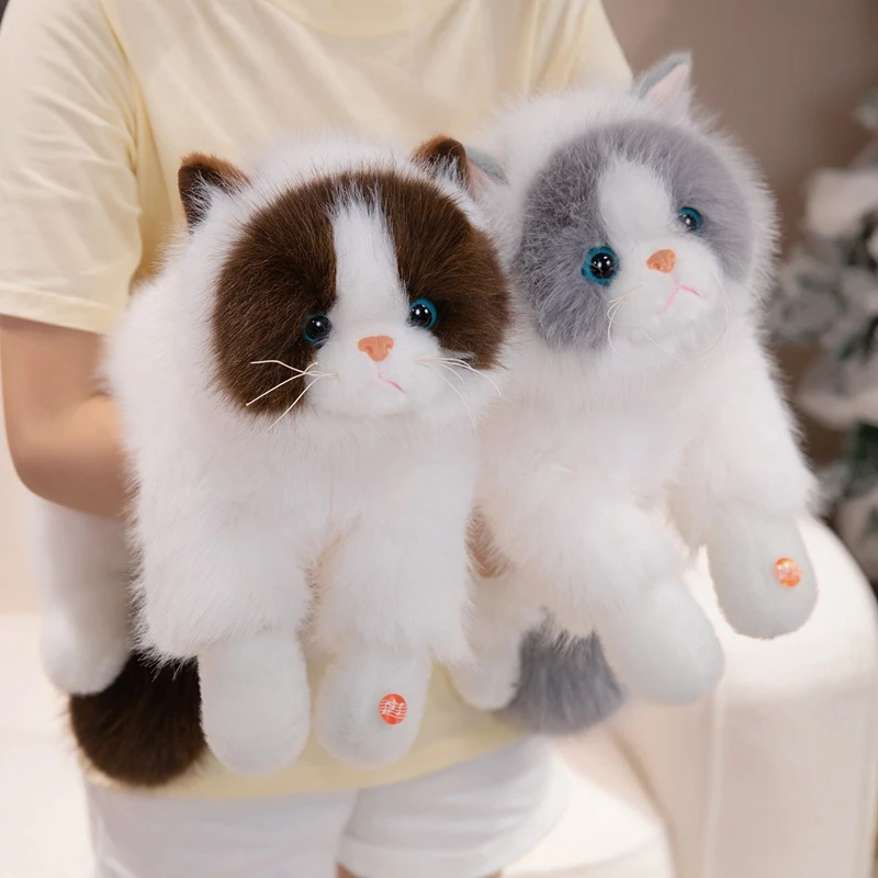 

50cm/60cm New Cute Simulation Lying Ragdoll Cat Plush Toys Soft Stuffed Animal Doll Fluffy Kitten Accompany Doll Nice Xmas Gifts