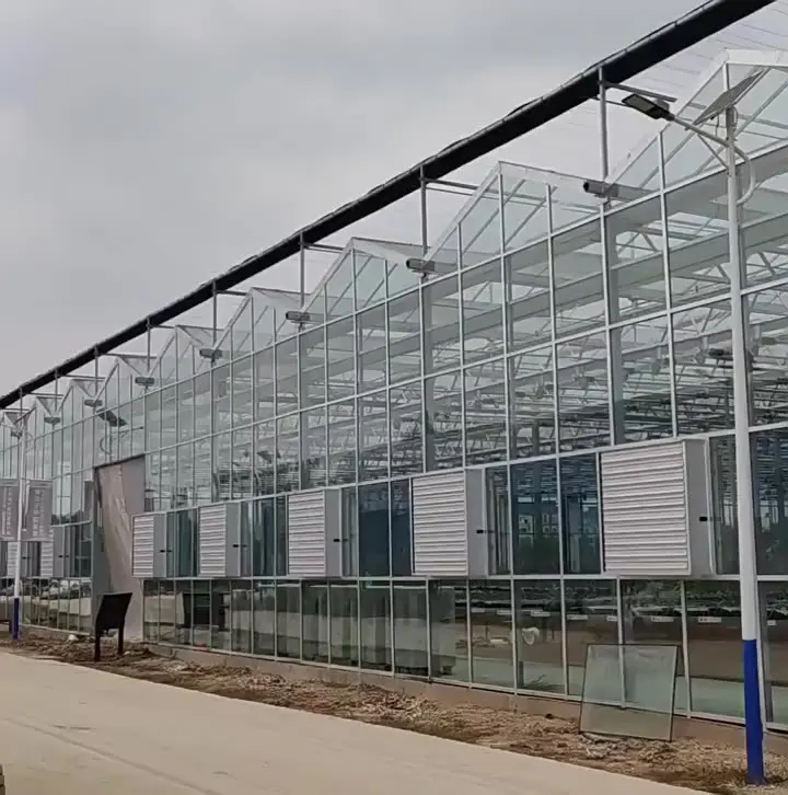 2025 وصول جديد الزجاج الجاهز تصميم البيت الأخضر لوحة طاقة شمسية متعددة المراحل الدفيئة للمشروعات الزراعية