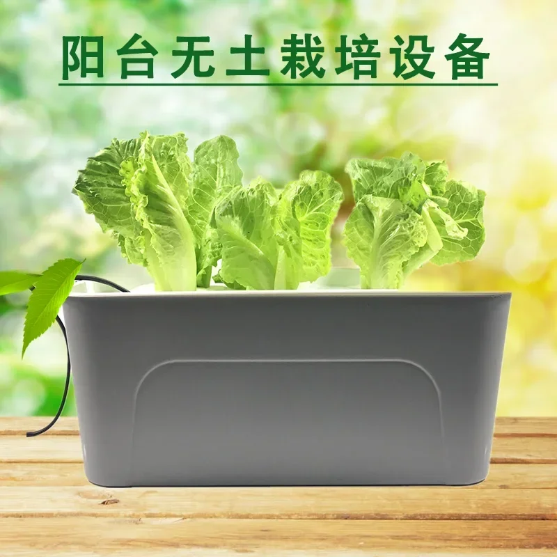 Hydroponic vegetable planting box