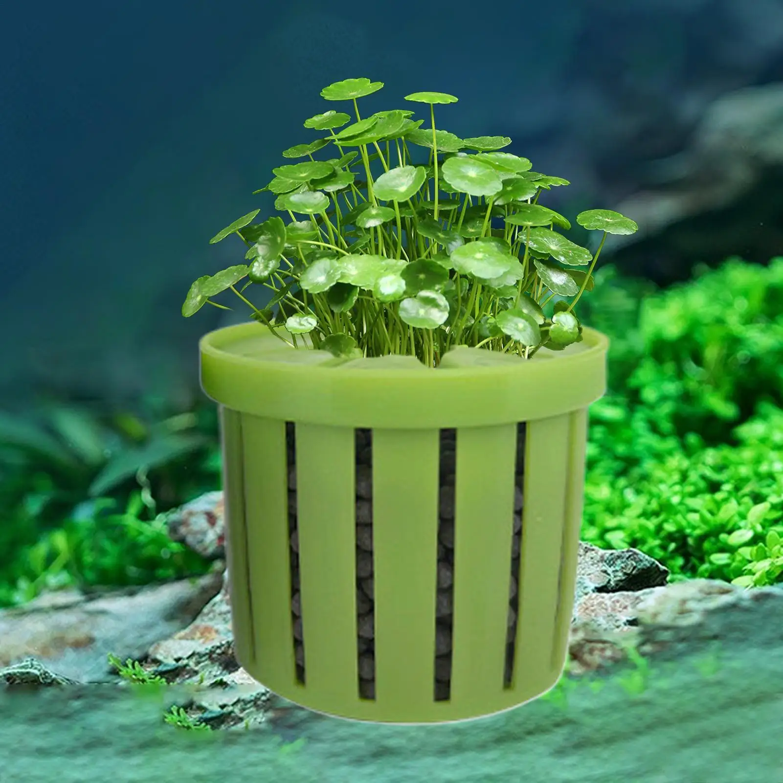Support de Plantes d'Aquarium Stable, Lot de 4 Supports Hydroponiques pour Plantes d'Aquarium, Décoration pour Fontaine d'Eau