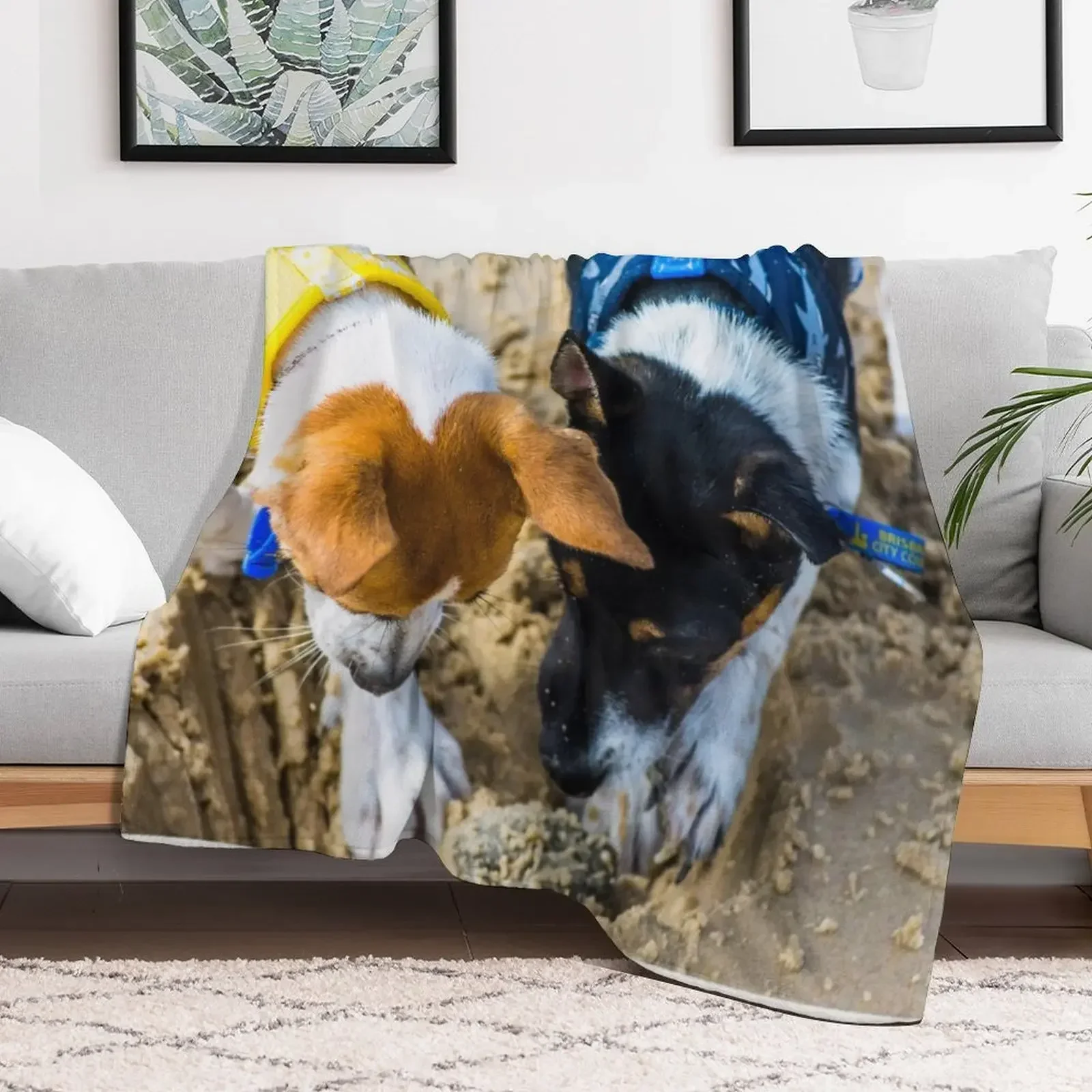 

Alfie and Pippa Throw Blanket Decorative Beds Soft Plaid Beach Large Blankets