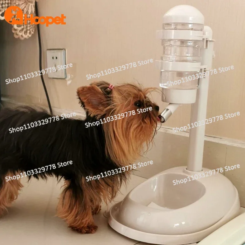 Pet non-wet mouth dog water dispenser automatic hanging type