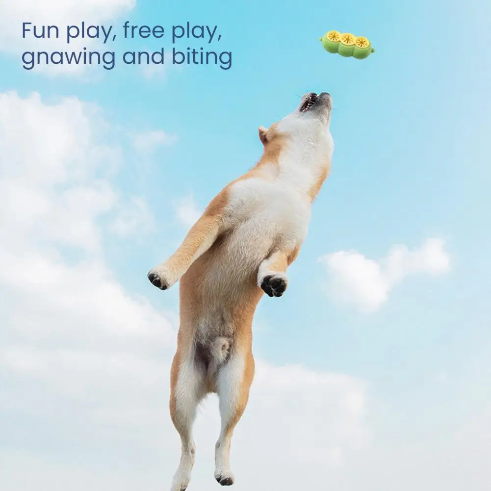 Puzzle Feeder For C… - image