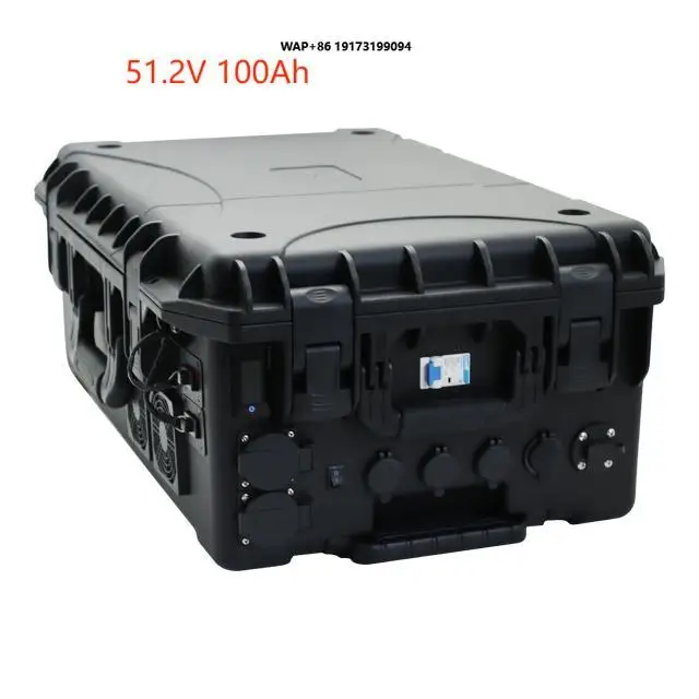 Smart APP Trolley Case Lifepo4 Battery 100Ah 48V Lithium Ion Battery Pack 5Kwh 3000W Trolley Bag Portable Power Station