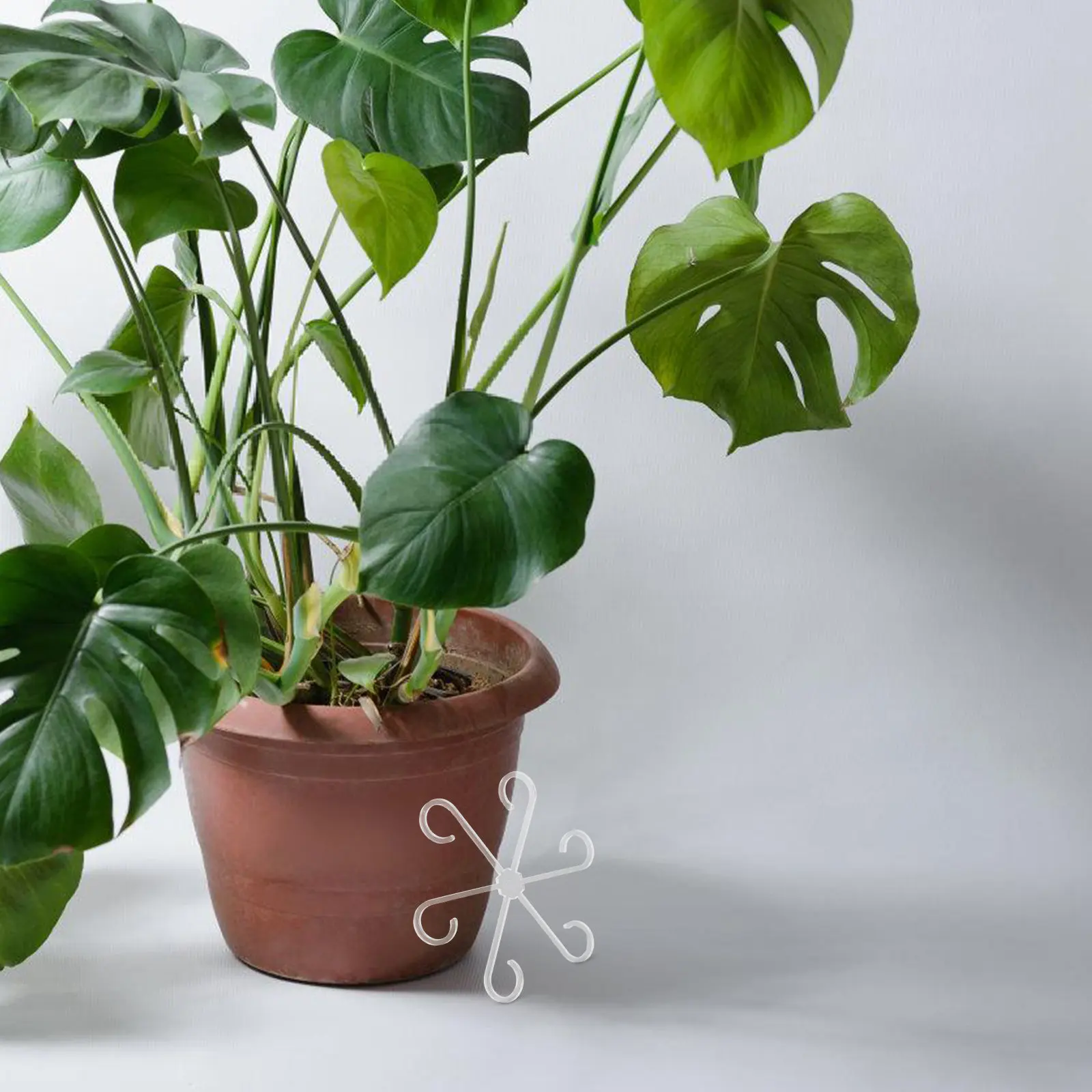 

Набор из 4 многоразовых пластиковых опор для вьющихся растений: подпорки для стеблей, решетки для комнатных и уличных растений, стабилизаторы для регулировки направления роста