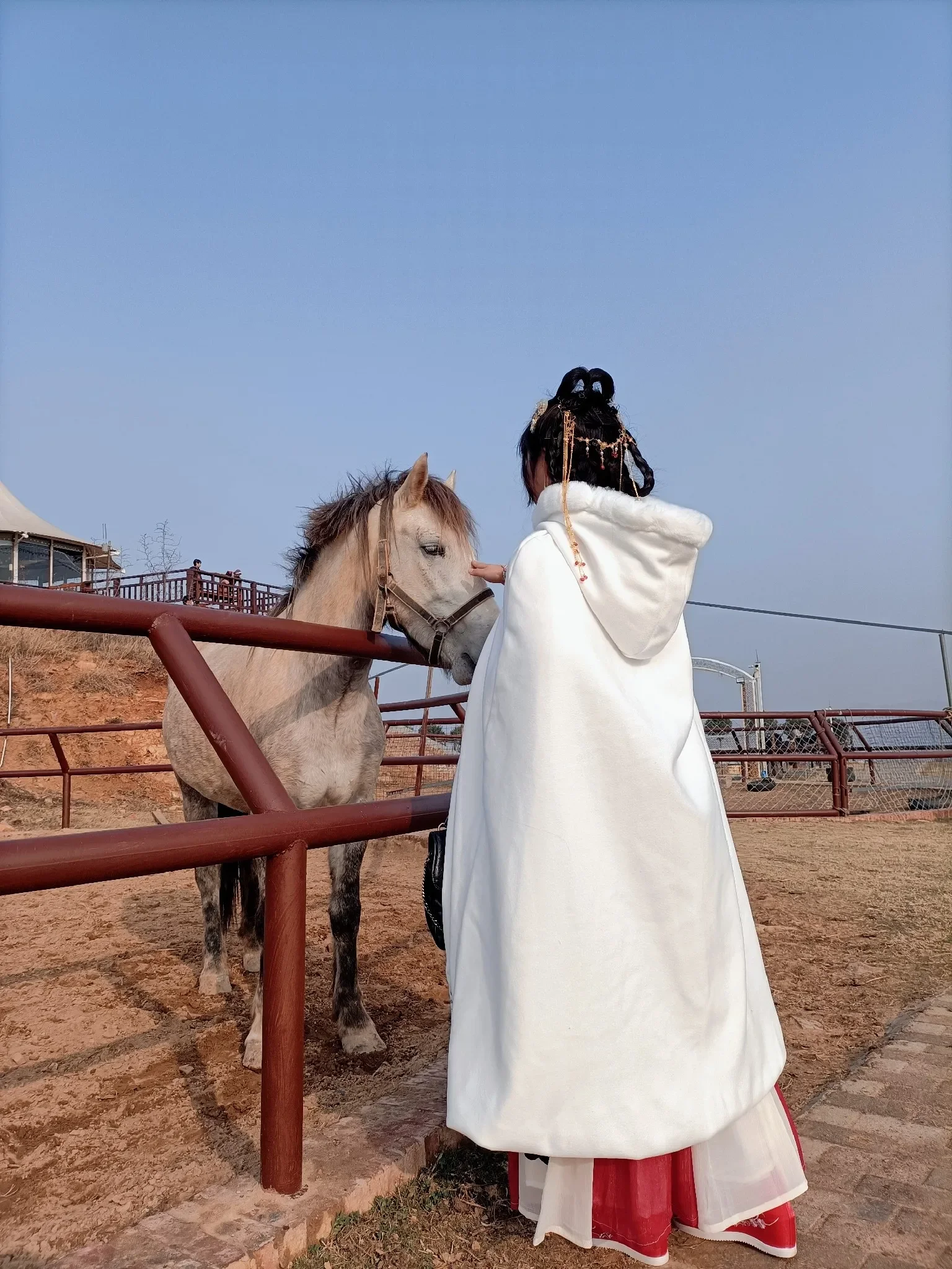 Damski płaszcz Hanfu zimowy ciepły płaszcz chiński gruby płaszcz z kapturem starożytny tradycyjny Cosplay odzież damska niebieski