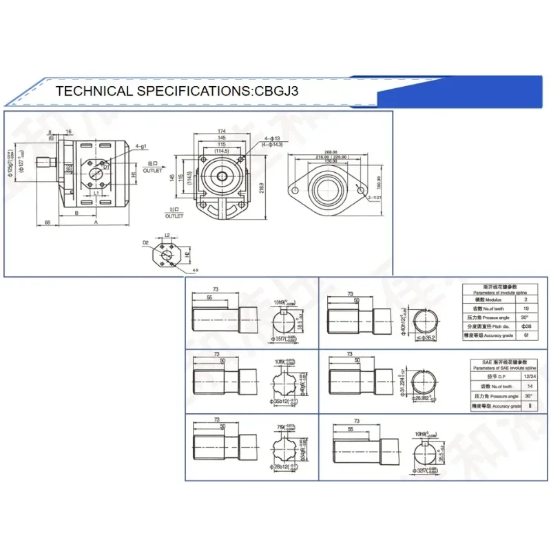 Fork Truck Hydraulic Pump CBGJ Series Double Hydraulic Pump For Special Vehicle Gear Pump