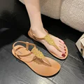brown sanjiao