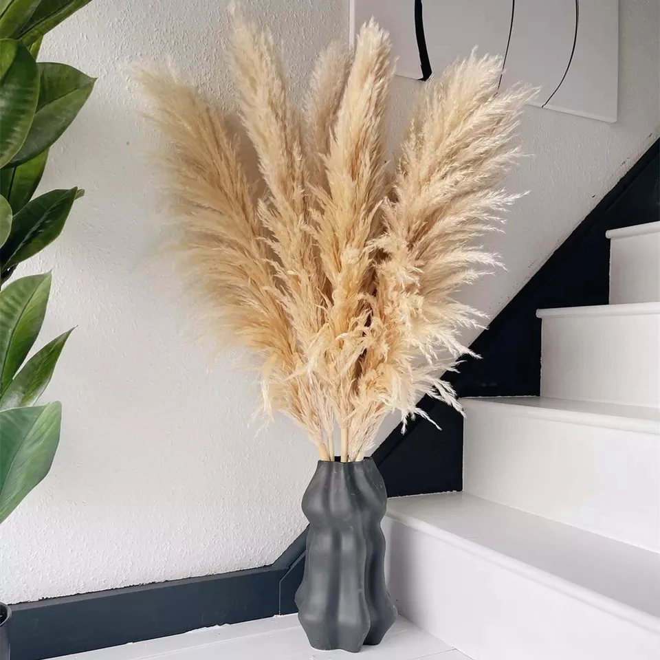 

Fully Large Pampas Grass Flowers Halloween Decoration Home Fall Decor Autumn Fleurs Sechees Naturelles Accessories Free Shipping