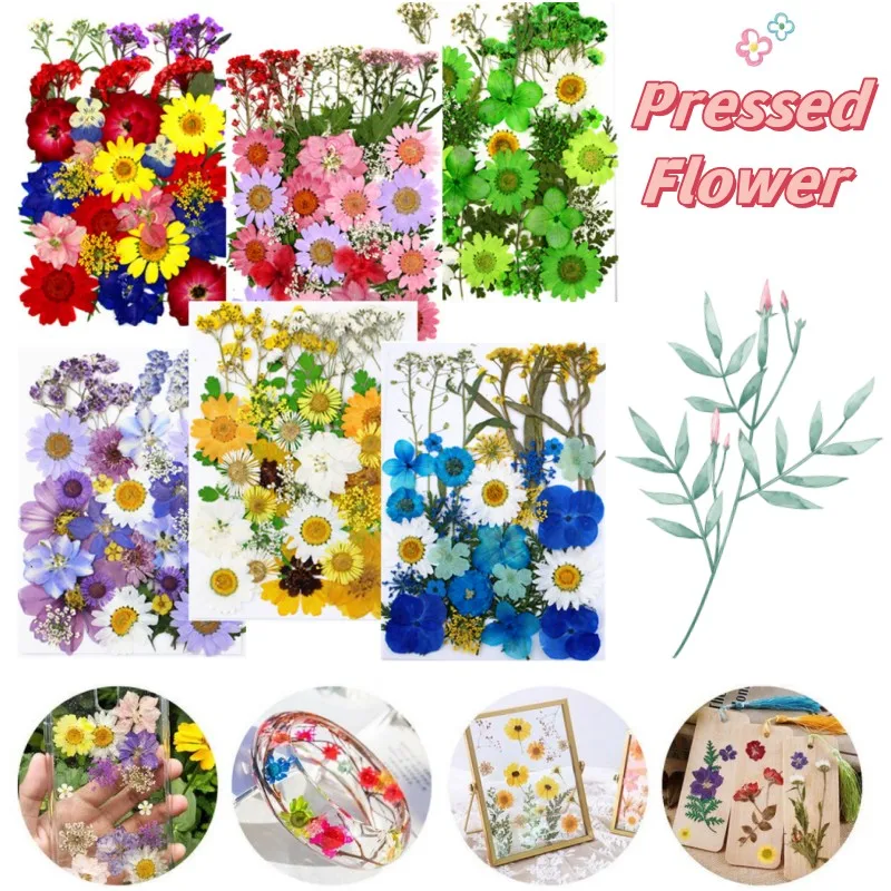 Pressed Flowers DIY Dried Flower Material Kit Embossing Drip Resin Ornament Filling Leaf specimen Stickers Handbook Decorations