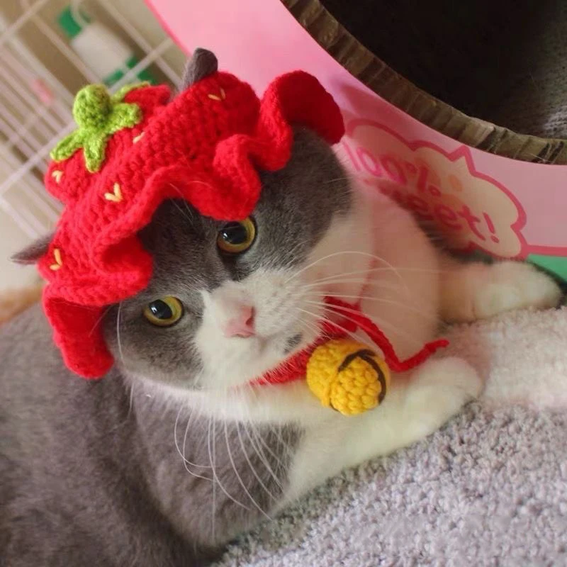 Pet Knitted Hat Cat Wool Hand-knitted Cartoon Strawberry Red Hat With Ear Holes Cute Kitten Dog Headgear Pet Cosplay Accessories