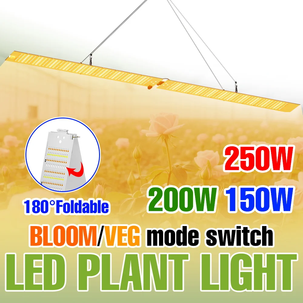 250w-led植物育成ライト-フルスペクトル量子ボード-水耕栽培ランプ-温室テント-野菜-鉢植え-補光照明
