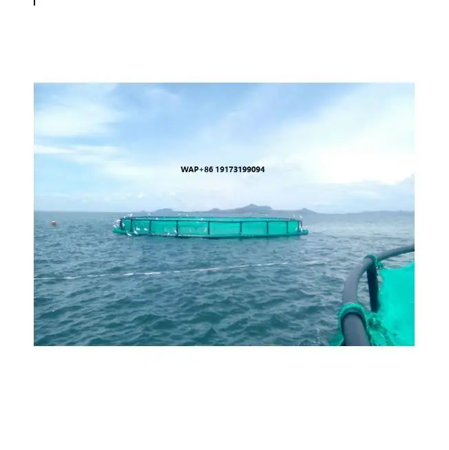 

Aquaculture Uganda Fish Farms Cage for Sale