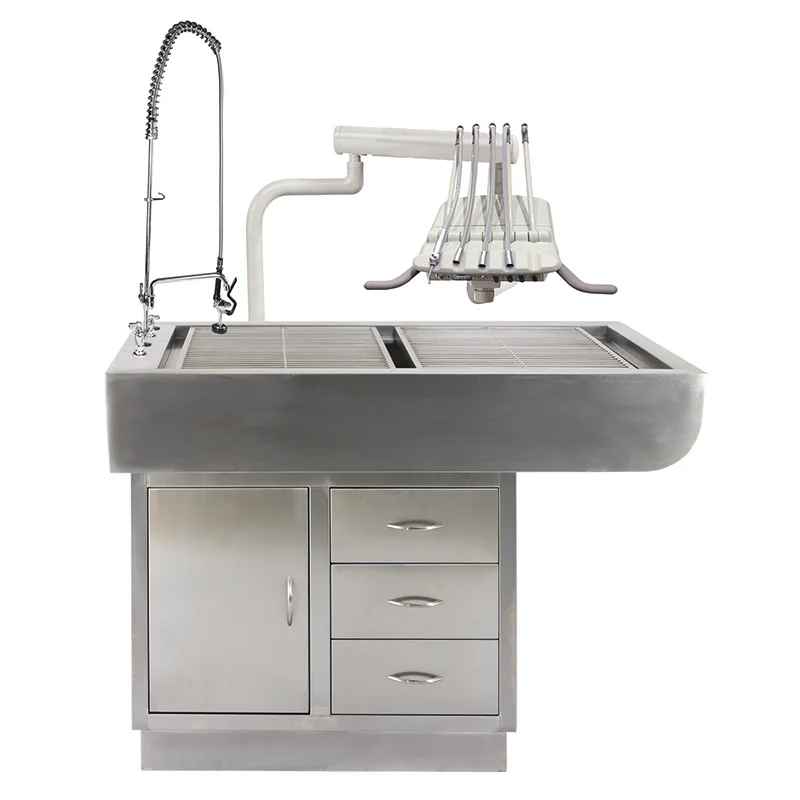 

Pet Hospital Disposal Table Stainless Steel Animal Operating Table Dental Cleaning Table for Cats and Dogs Veterinary Inspection