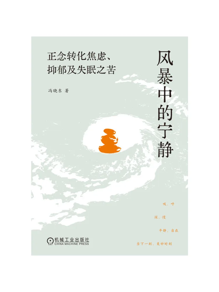 Book-Winshare Tranquillité dans la tempête : la pleine conscience transforme la douleur de l'anxiété, de la dépression et de l'insomnie
