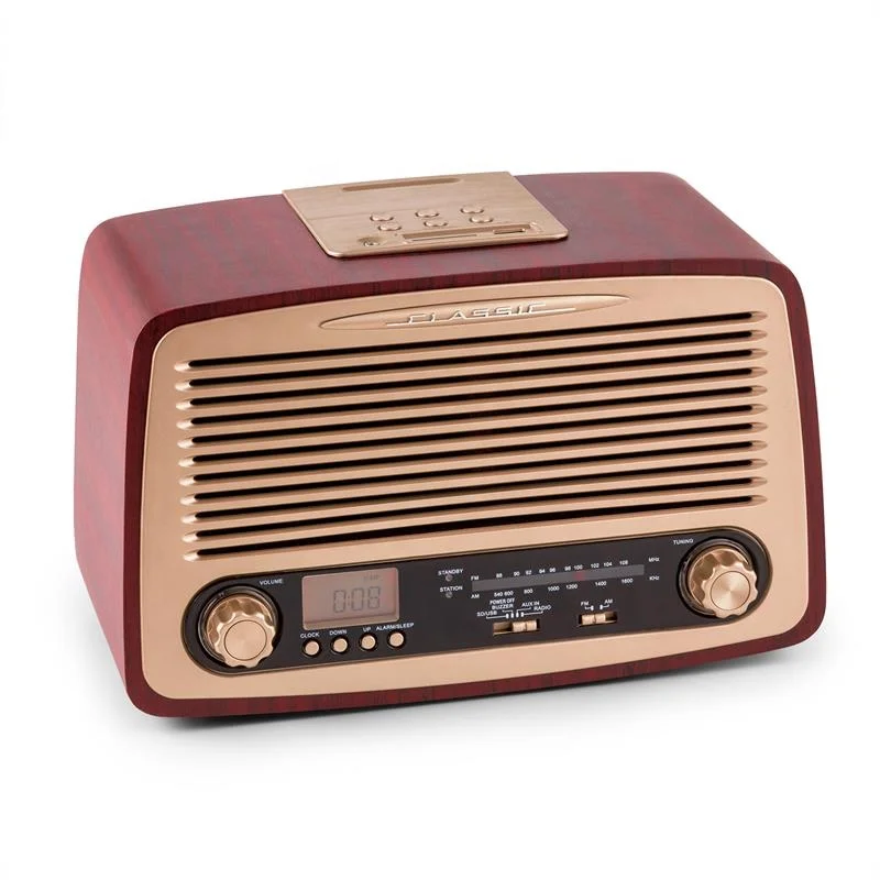 Portable wood home FM AM radio with USB SD encoding