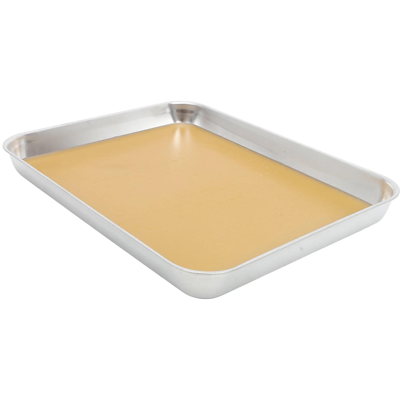 

Stainless Steel Dissection Tray Wax Lined Metal Biology Labs Middle High School Experiments Laboratory Dissecting Pan