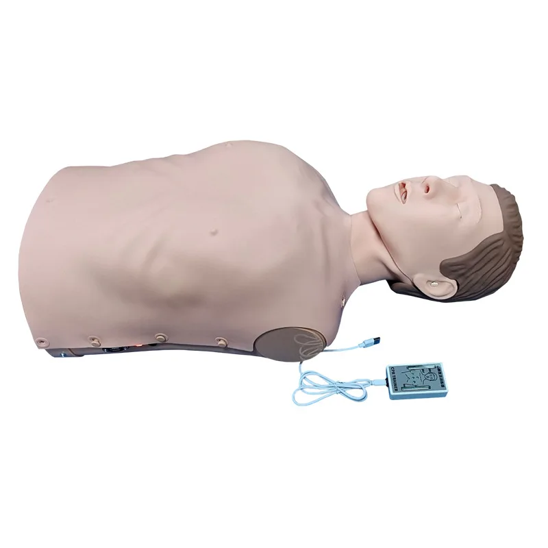Mannequin Upper  Lithium Battery Electronic Feedback Display   Press Ventilation First Aid Training Medical Teaching Model