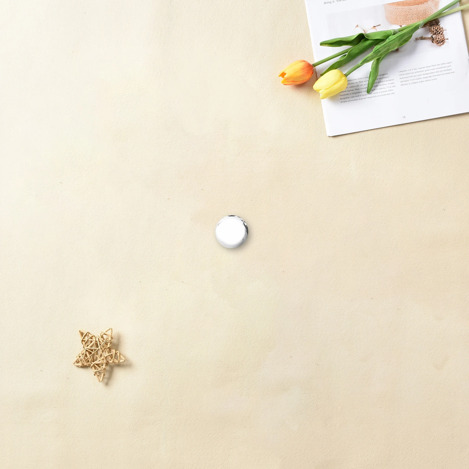 

304 Stainless Steel Solid Ball 19Mm Mirror Polished Decorative Metal Sphere Home Office Garden Decoration Hollow Ball 1.0Mm Wall