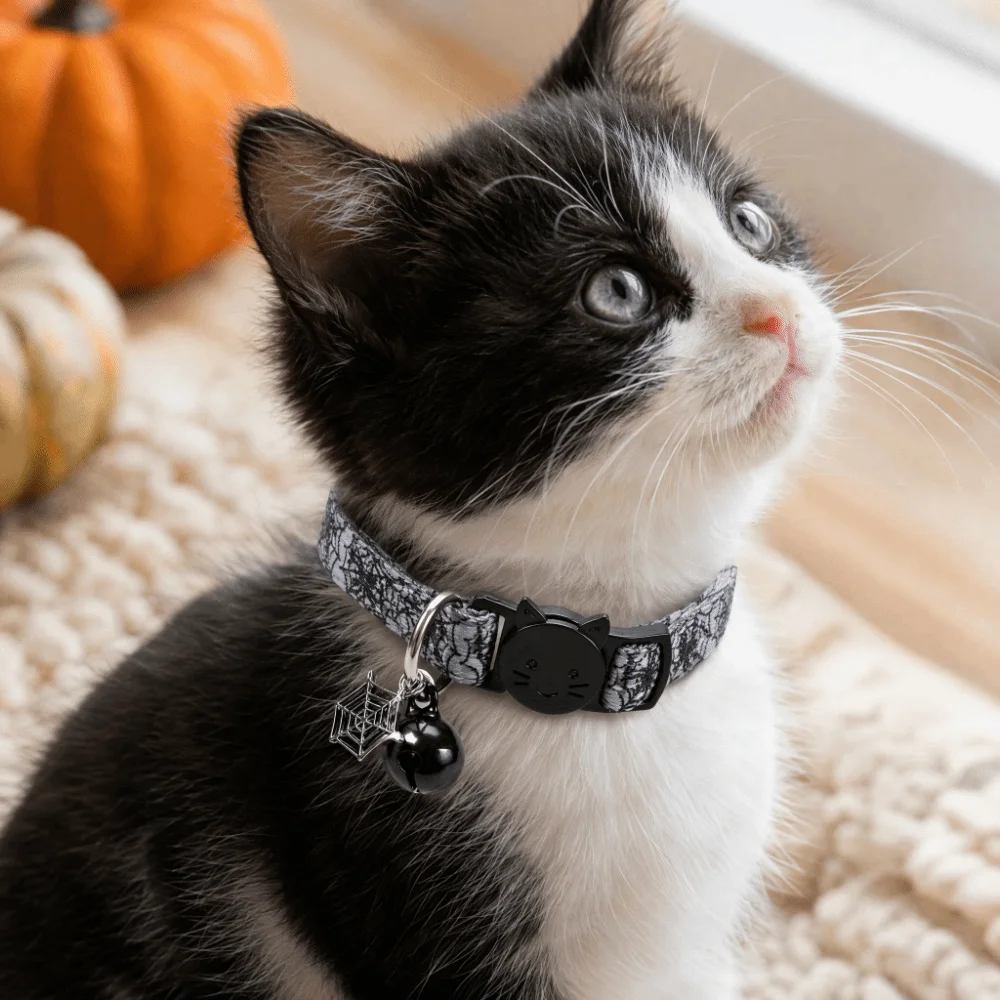Polyester Halloween Cat Collar Decorative Charm Festive Design Pet Safety Buckle Collar Skull Spiderweb Design