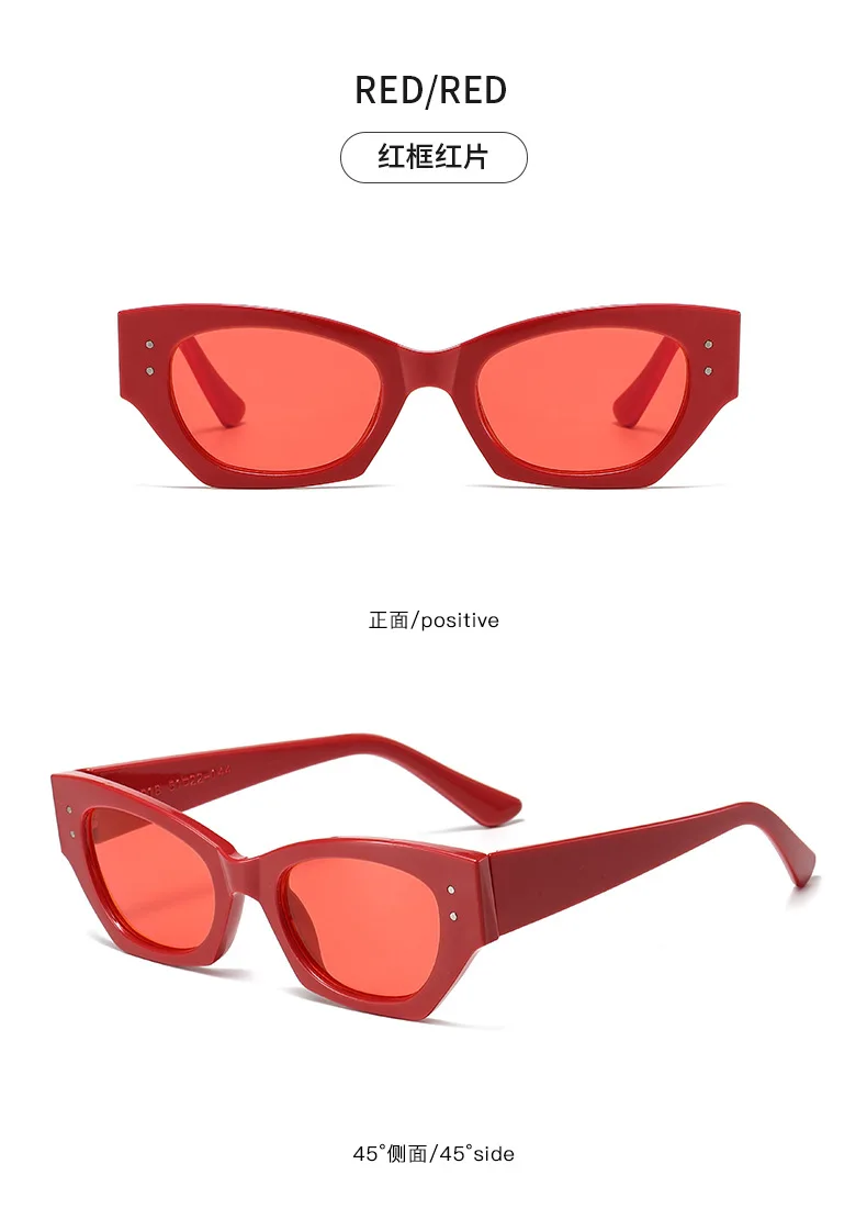 Vintage Kleine Niet Cat Eye Sonnenbrille Frauen Mode Marke Luxus Designer Polygon Sonnenbrille UV400 – Detail 15