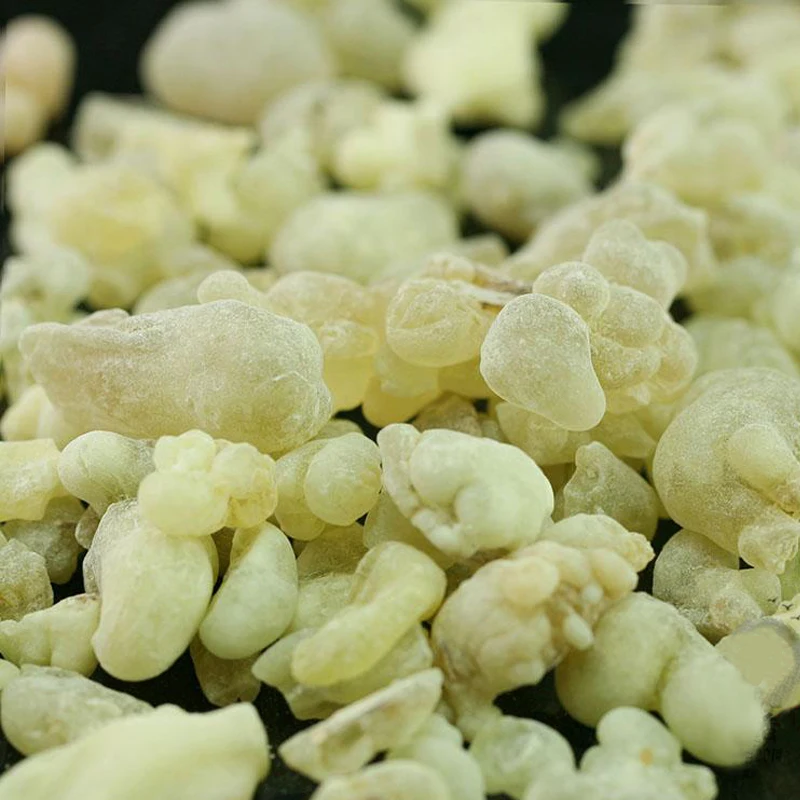 

Oman Hojari Frankincense Green Frankincense Burning Well Resin Fragrance Frankinsenseb.sacra Hydrosol Edible Grade