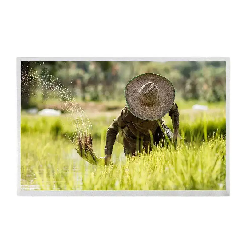 AUO 12.1 Inch Panel G121EAN01.2 LVDS 30 Pins Interface 1280x800 TFT LCD Display RGB Vertical Stripe Transmissive For Industrial