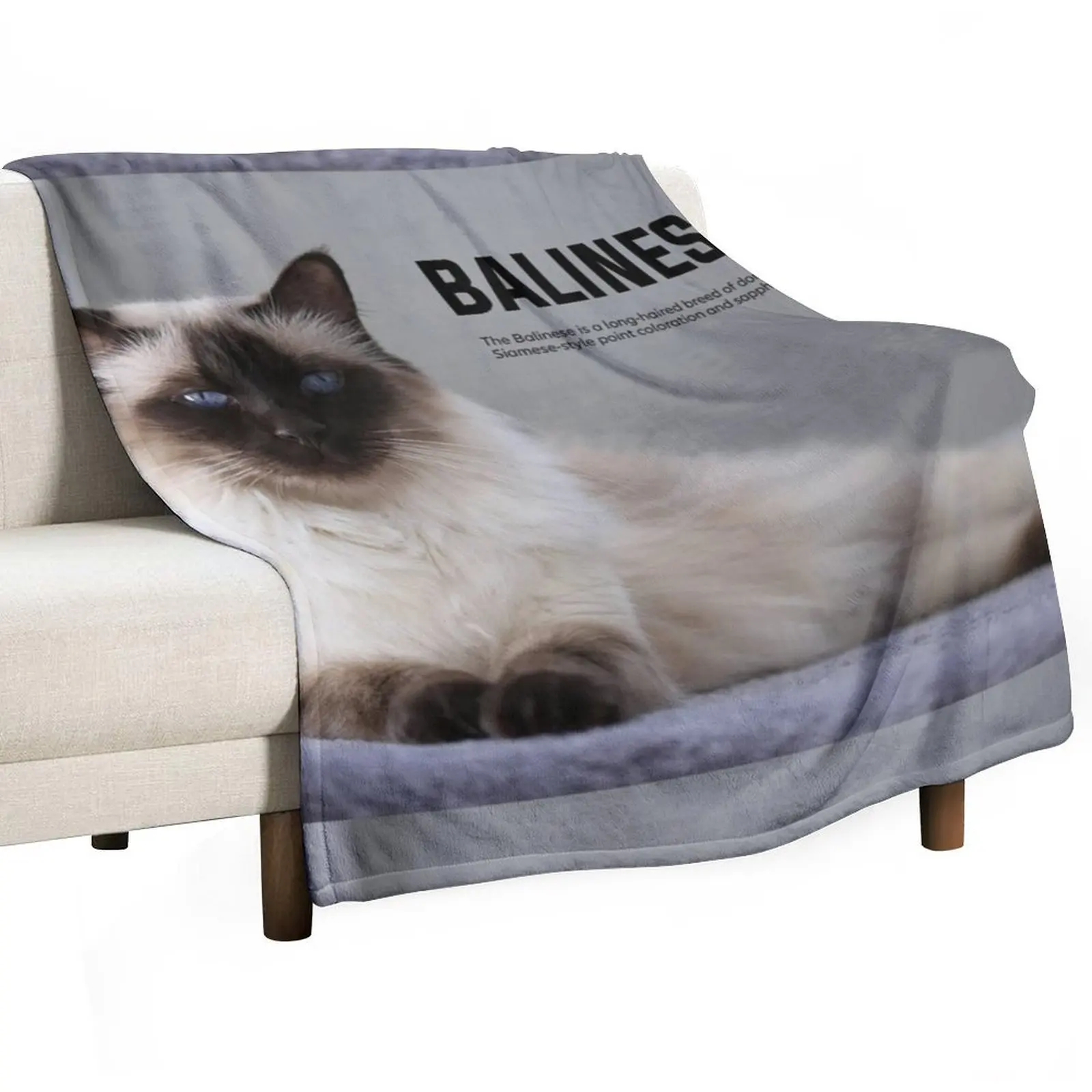 Balinese Cat Breed …