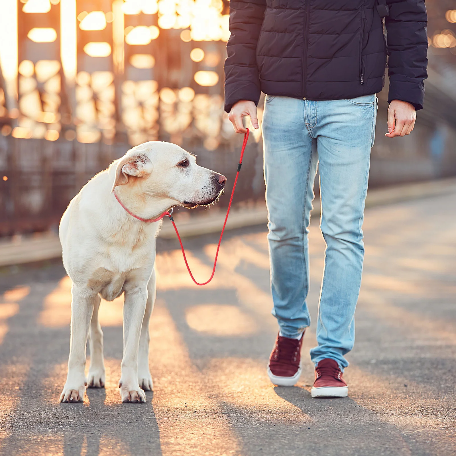 

Dog Walking Leash Red Nylon Durable Puppy Lead Strong Ring Easy Carry Walking Supplies