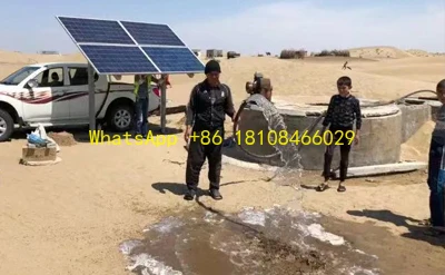 

High -Performance AC/DC Hybrid Solar Pump 35m Max Head, 14.2m³/h Flow, Dry - Running Auto - Protect, Franklin Motor