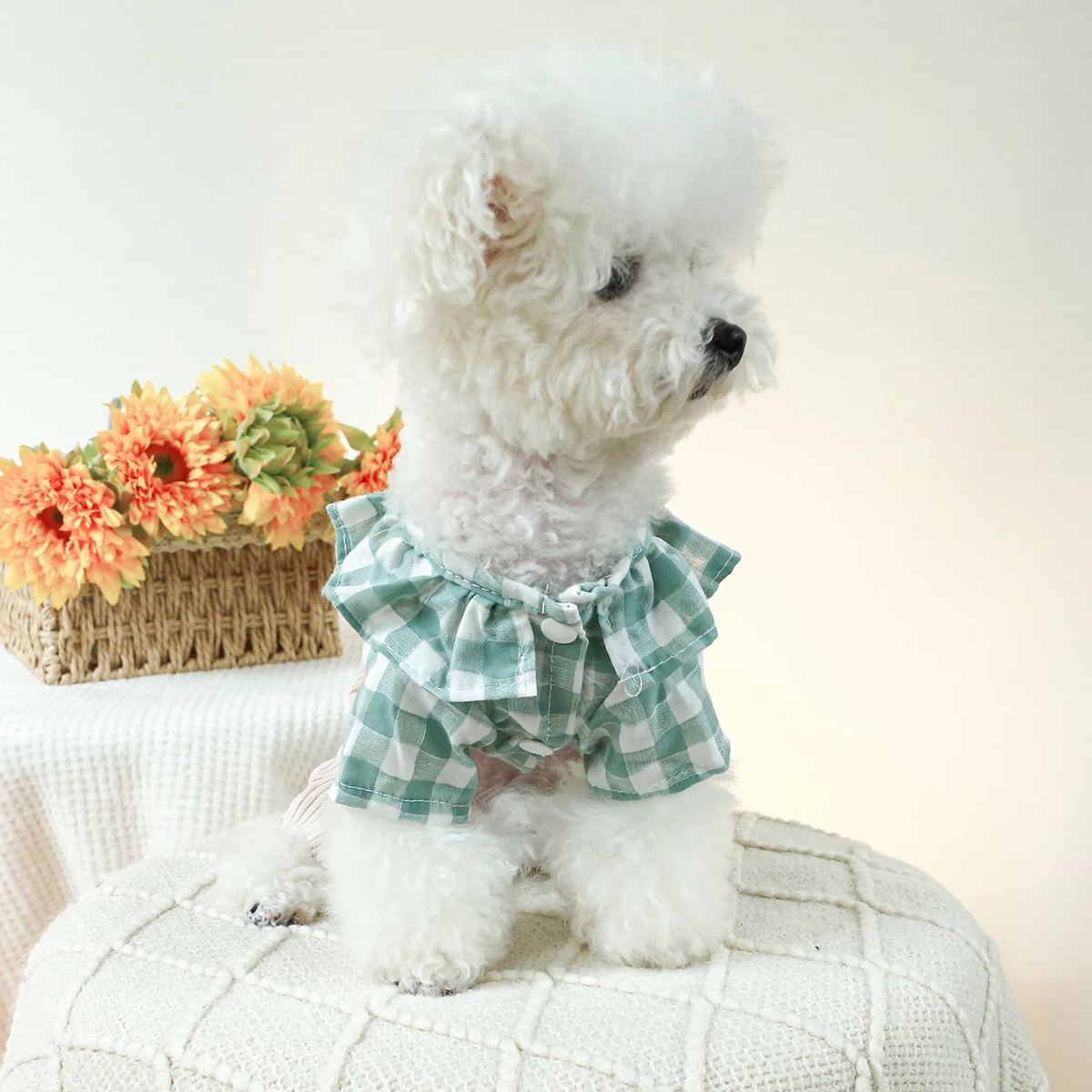 1PC Pet Clothes Cat Spring and Autumn Lotus Leaf Green White Strap Pants Four legged Suitable for Small and Medium Dogs