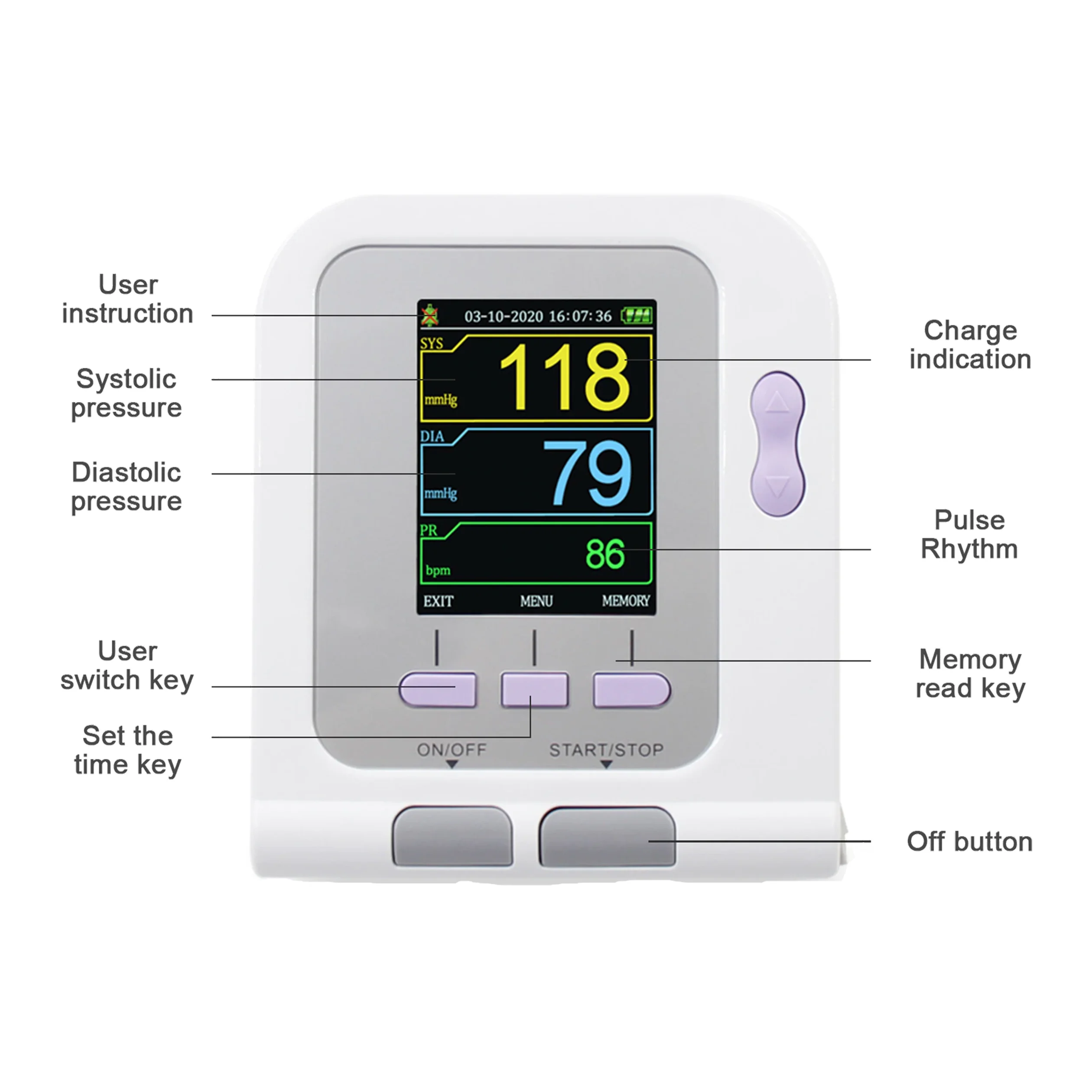 Cat Dog Sphygmomanometer Digital Veterinary NIBP Blood Pressure Monitor and Pluse Oximeter Probe Animal Circuference Cuff VET