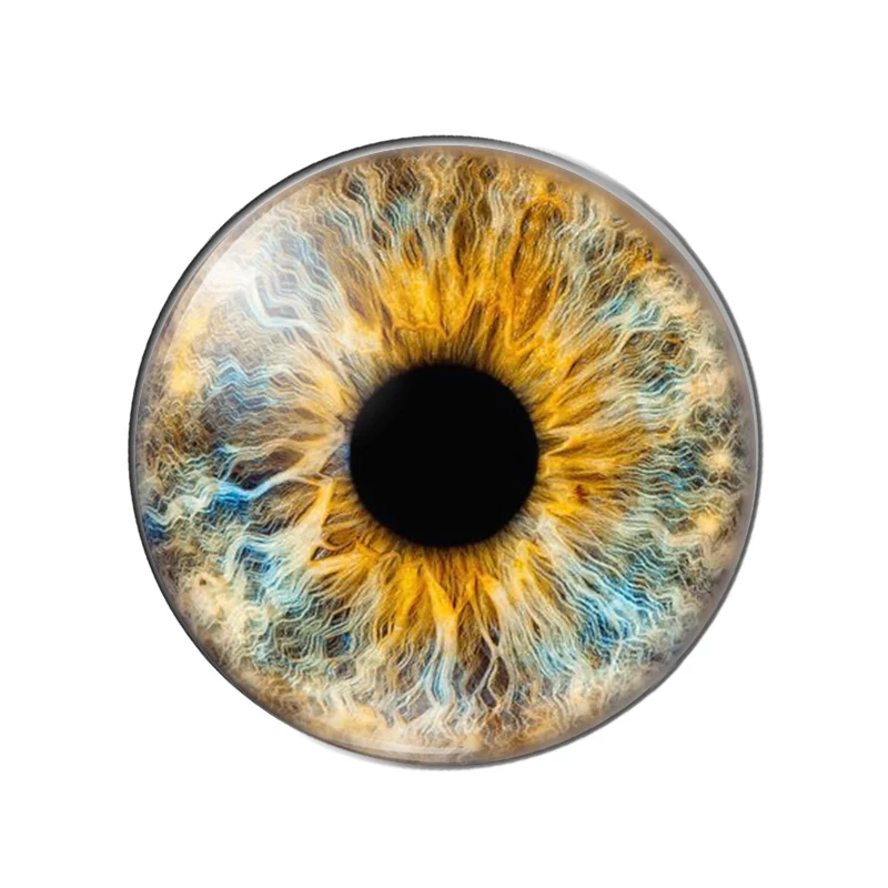 glass eyes cabochons Round 8MM-30MM Round Dome Dragon Eye Dragon Cat Eye Toys DIY Jewelry Accessory MIX Pupil Eye Cameo