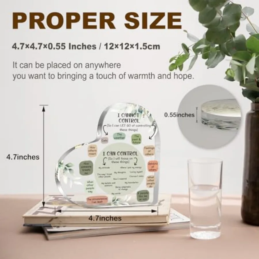 أشياء الصحة العقلية يمكنني التحكم في هدايا الديكور لديكور اليقظة الذهنية لمكتب العلاج هدايا القلب من الأكريليك علم النفس Art De