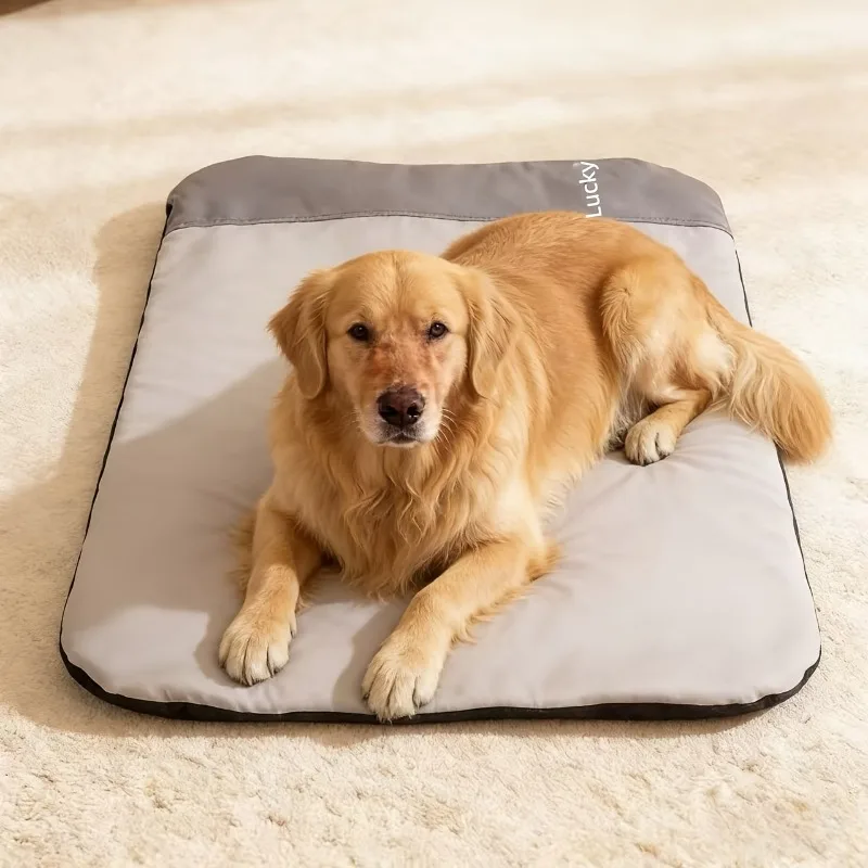 Coole Synthetische Leder-Hundematte – Kaubeständiges, gepolstertes Kissen für kleine/mittlere Hunde & Katzen, Ganzjahres-Haustierbett