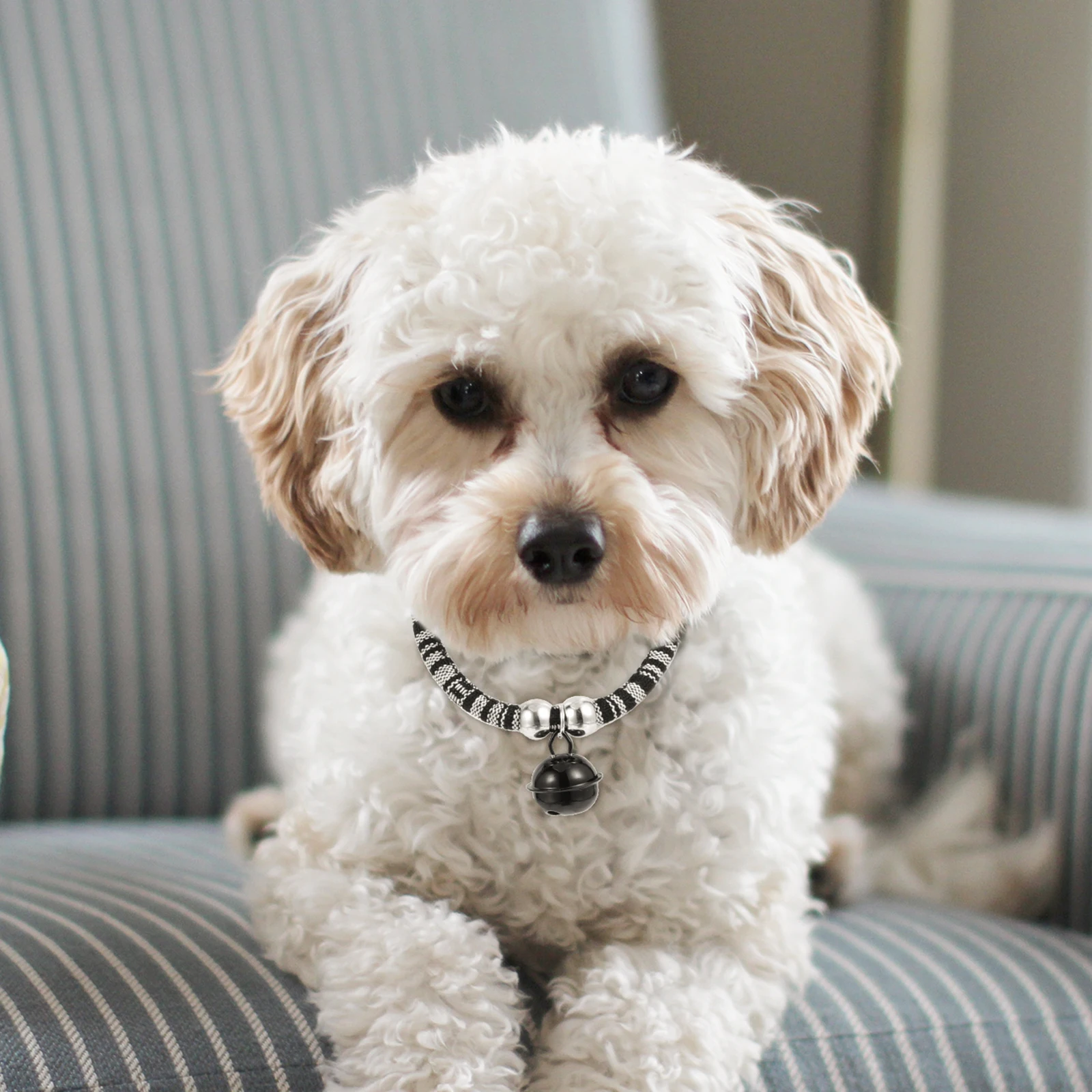 

2Pcs Durable Ethnic Pet Collars Decorative Bell Accessories for Cats and Dogs Holiday Cheer Cat Collar Adorable Necklaces