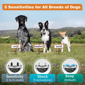 10 best sales קולר נביחות כלבים - №5