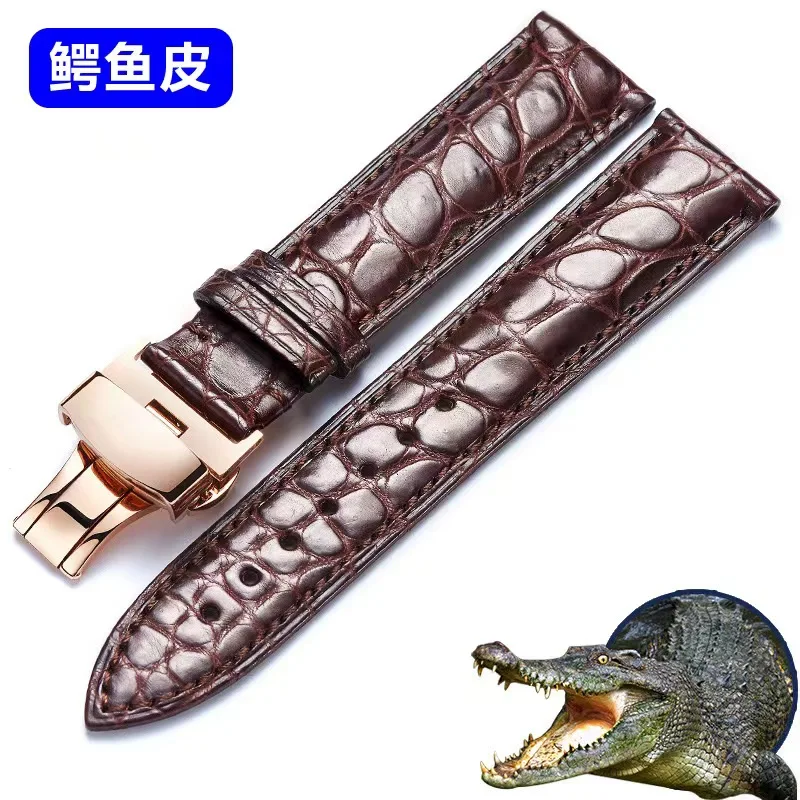 Alligator watch lead layer cowhide watch leather strap for both men and women