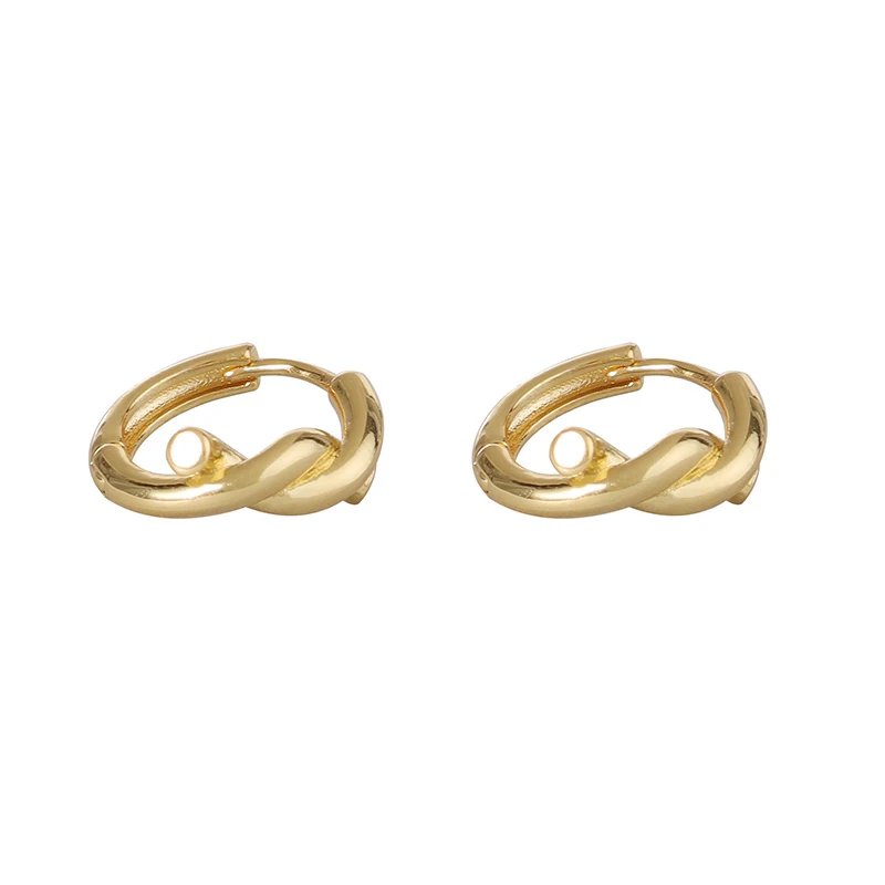 

French new rope earrings, high-end earrings, versatile and simple