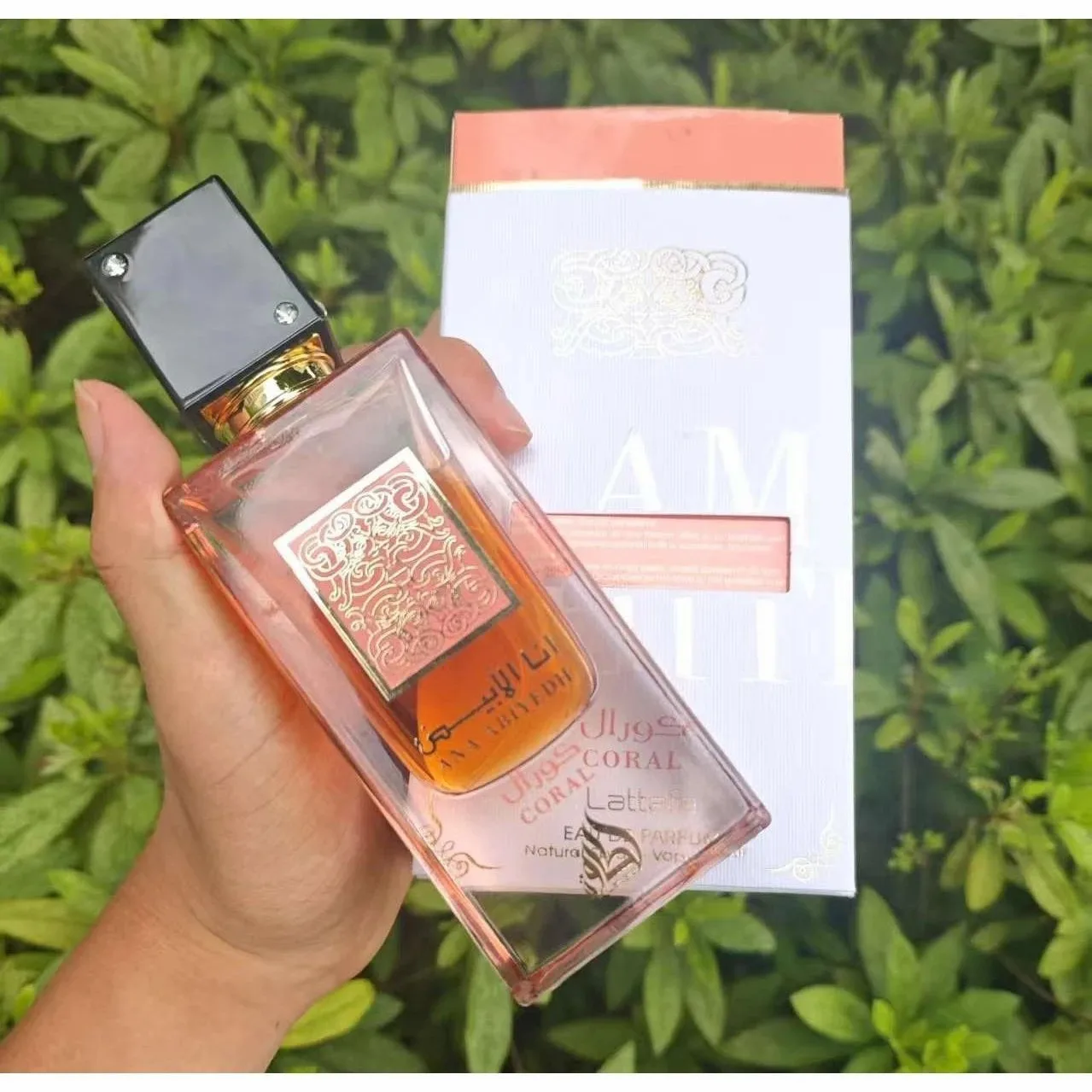 

Ana Abiyedh Coral Unisex Perfume – Eau de Parfum Spray, 60ml Bottle