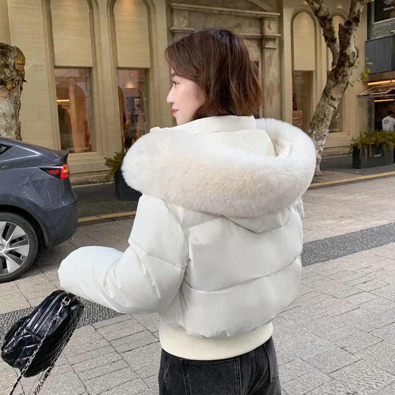 

Autumn Winter Fur Collar Hooded Short Parkas Women Thick Down Cotton Padded Coat Female Fashion Slim Puffer Jacket Outerweat