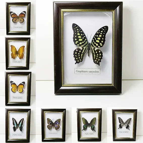 Real Butterfly Specimens Rectangular Three-dimensional Photo Frame Home Decorations Collectible Specimens Living Room Decoration