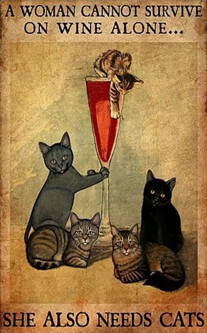 A Woman Can Not Survive On Wine Alone She Also Need Cat Poster Black Cat Vintage Metal Sign Tin Sign for Bedroom Living Roo sign