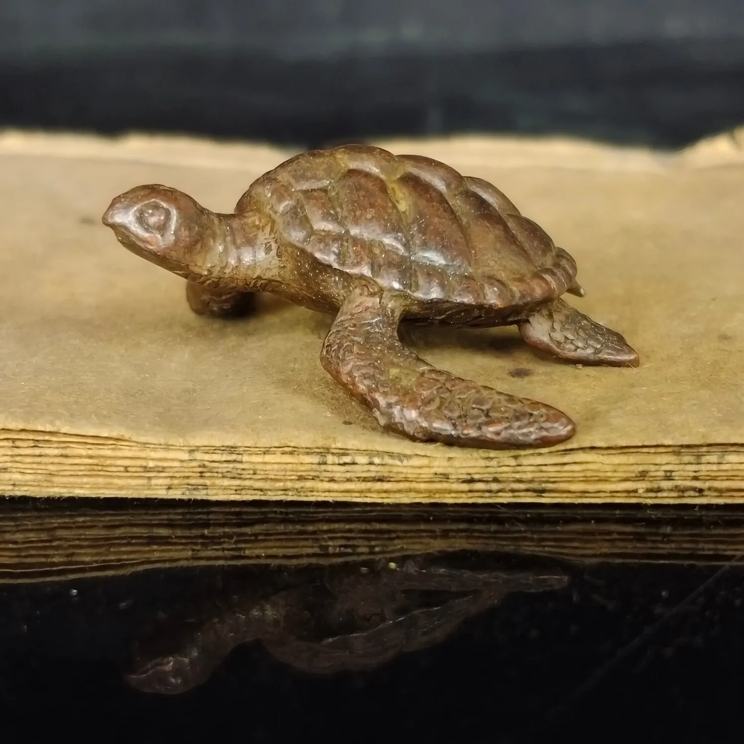 

Chinese Antique Turtles Realistic Statue Ornaments Collectibles