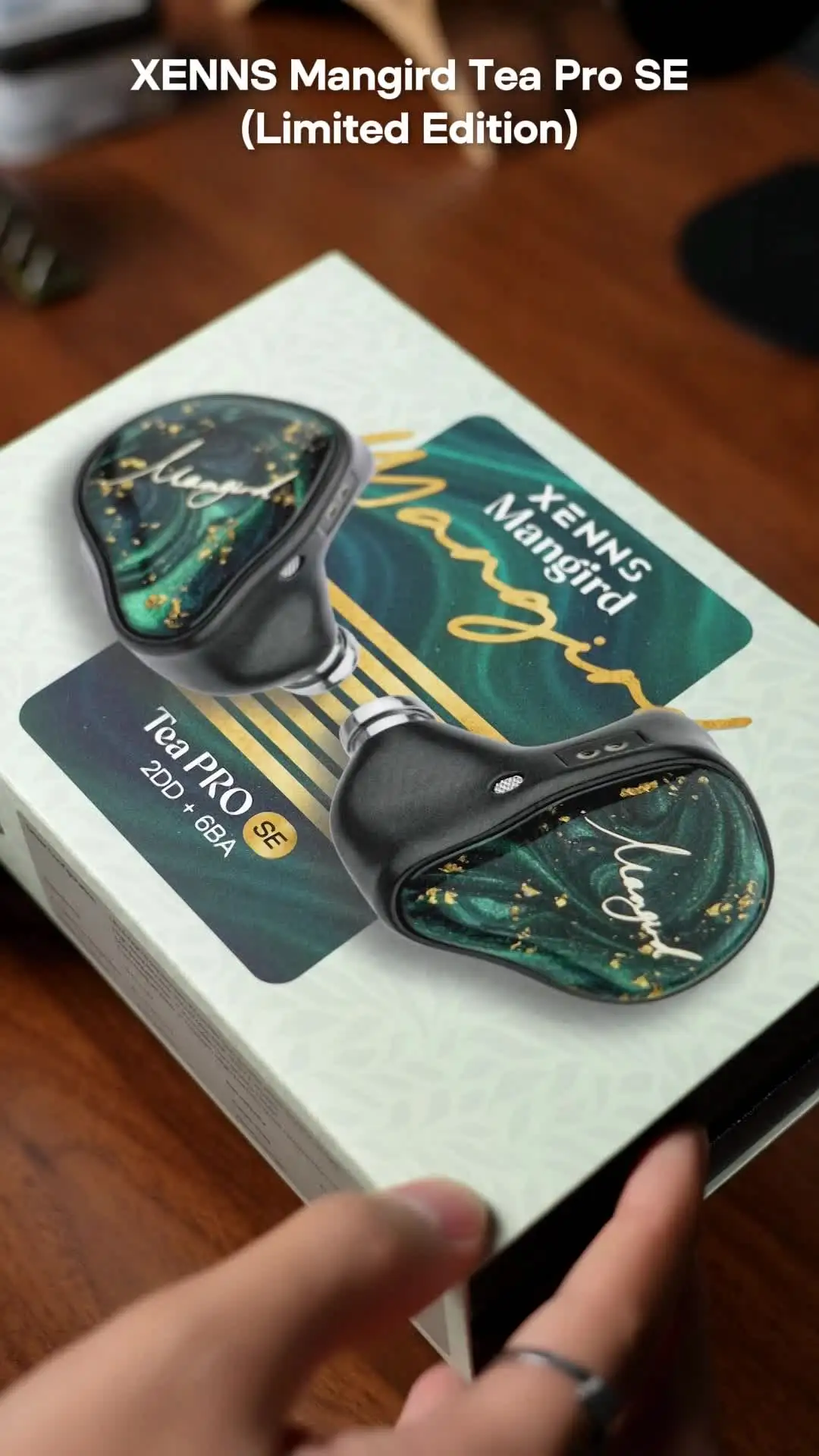 Xenns Mangird Tea Pro SE 2DD + 6BA Hybrid IEM Earphone with