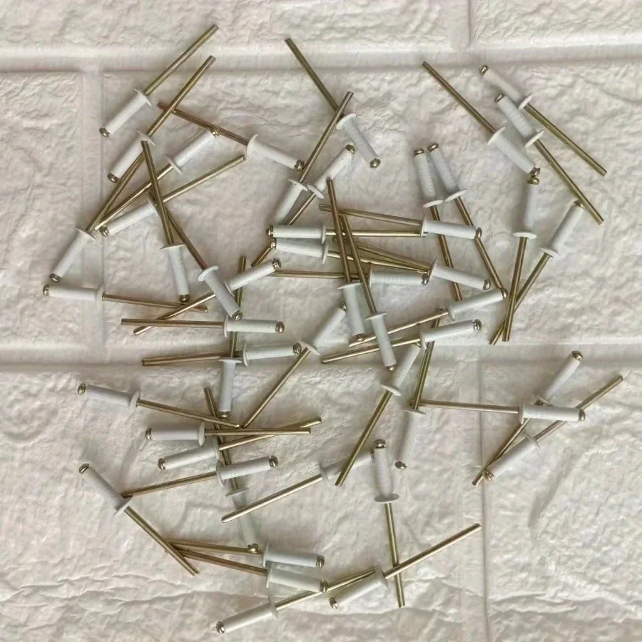 50 pz Oro Bianco Verniciato Rivetti Ciechi Testa Rotonda Rivetti Vuoti In Acciaio Al Alluminio Decorazioni Per La Casa Rivetti Elementi di Fissaggio Industriali DIA 1/8