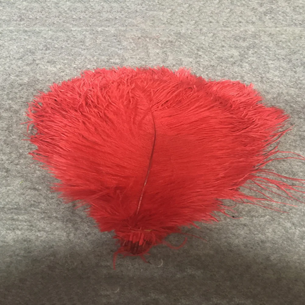 

10 Pcs Natural Ostrich Mask Hair Decoration Artificial Feahers Decorations Wedding Red